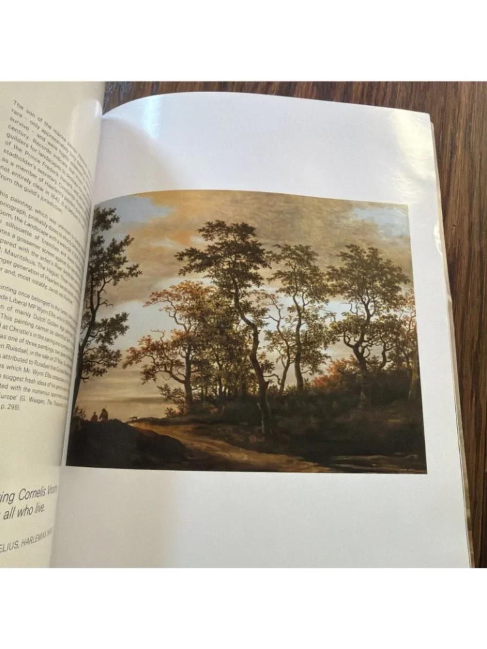 Christie’s‎ Auction Catalog Martin Feldstein Collection Dutch Art In Golden Age